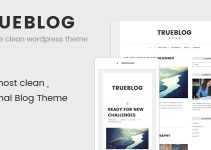 TrueBlog - Clean WordPress Theme