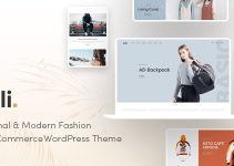 Zoli - Fashion WooCommerce WordPress Theme