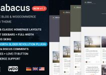 Abacus - Responsive Blog & Shop Theme