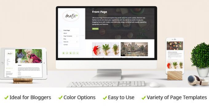 Amalie - Modern Blogging WordPress Theme