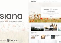 Asiana - Clean Blog & Shop WordPress Theme
