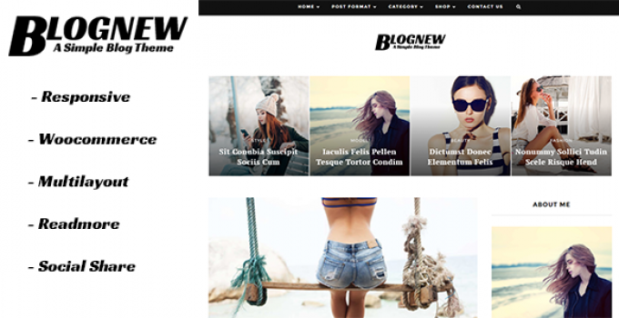 Blognew - A Simple WordPress Blog Theme