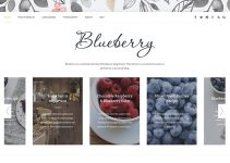 Blueberry - A Responsive WordPress Blog Theme