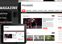 Bold Magazine Responsive WordPress Theme