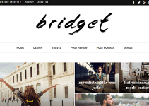 Bridget - Responsive WordPress Magazine and Blog Theme