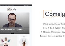 Comely - Responsive WordPress Blog Theme