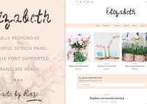Elizabeth - A Responsive WordPress Blog Theme