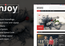 Enjoy - WordPress Magazine and Blog Theme