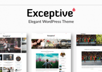 Exceptive - Elegant WordPress Theme