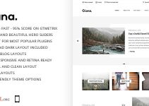 Giana - Minimal and Clean WordPress Blog Theme