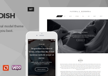 Modish - Fashion Model WordPress Theme