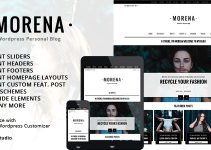 Morena - Clean Responsive WP Blog Theme