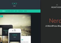 Nerdy: A WordPress Blog Theme