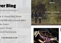 Silver Blog - A Simple WordPress Blog Theme