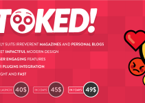 Stoked! - Irreverent Viral Magazine/News and Personal Blog WordPress Theme