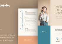 Teoro - CV Resume WordPress Theme