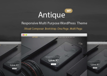 Antique - Onepage Portfolio WordPress Theme