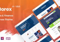 Borex - Business And Finance WordPress Theme