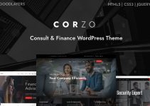 Corzo - Consulting & Finance