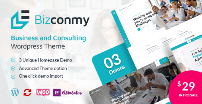 Bizconmy - Business and Consulting WordPress Theme