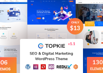 Topkie - SEO Marketing WordPress Theme