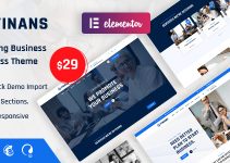 Finans - Consulting Business WordPress Theme