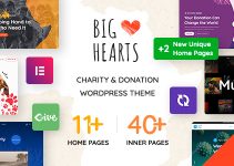 BigHearts - Charity & Donation WordPress Theme