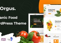 Orgus - Organic Food WooCommerce WordPress Theme