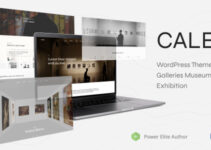 Caleo - Art Gallery WordPress Theme