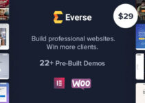 Everse | Multi-purpose Elementor WordPress Theme