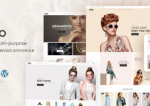 Dello - Multi-purpose WooCommerce Theme