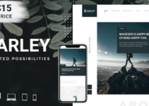 Barley - Ecommerce WordPress Magazine Theme