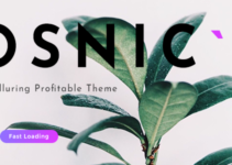 Osnic - Premium Adsense Theme