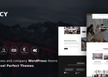 Nucy - Business & Company WordPress Theme