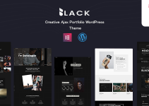 Blackdsn - Creative Ajax Portfolio WordPress Theme