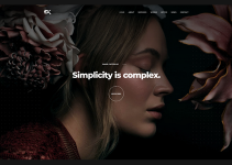 Brandex - One Page Portfolio WordPress Theme