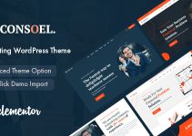 Consoel - Consulting Business WordPress Theme