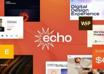 Echo - Digital Marketing & Creative Agency WordPress Theme