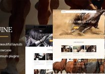 Equine - An Equestrian and Horse Riding Club Theme