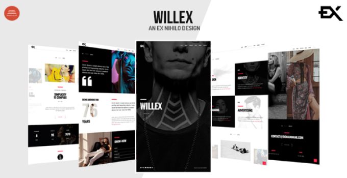 Willex - Photography Portfolio WordPress Theme