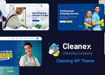 Cleanex - Cleaning Service WordPress Theme