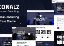 Conalz - Business Consulting WordPress Theme