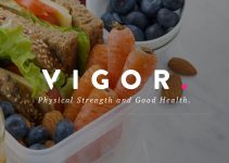 Vigor - A Responsive News Magazine Blog WordPress Theme