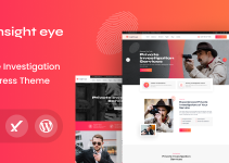 insighteye - Private Investigator WordPress Theme