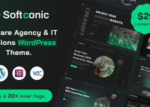 Softconic - Software and IT Solutions WordPress Theme