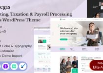 Aegis - Accounting & Payroll Processing Services WordPress Theme