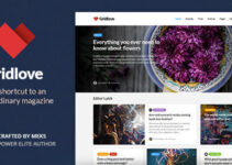 Gridlove - News Portal & Magazine WordPress Theme