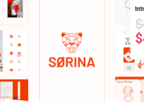 Sørina - Creative Portfolio Theme