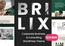 Brilix - Corporate Business & Consulting WordPress Theme