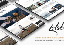Lets Blog WordPress